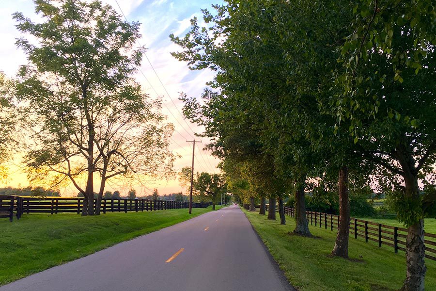 Munfordville, KY Insurance - Pleasant Lane With Trees and Fields on either Side at Dusk
