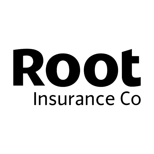 Root